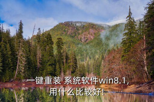  一键重装 系统软件win8.1,用什么比较好!