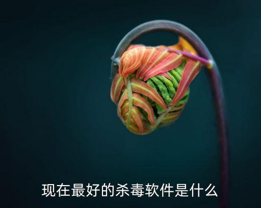 现在最好的杀毒软件是什么