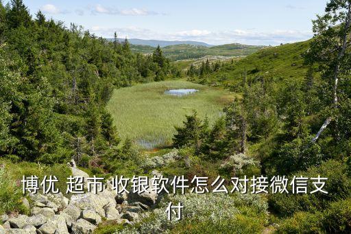 博优 超市 收银软件怎么对接微信支付
