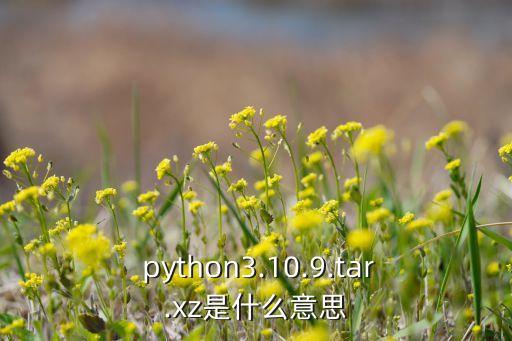 python3.10.9.tar.xz是什么意思