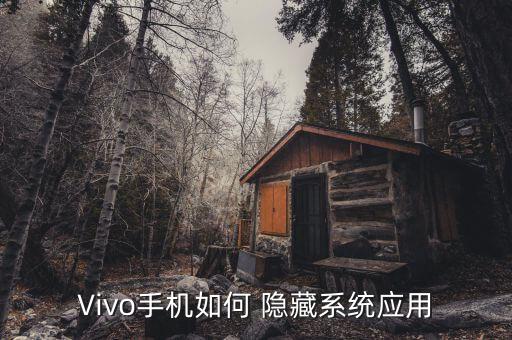 Vivo手机如何 隐藏系统应用