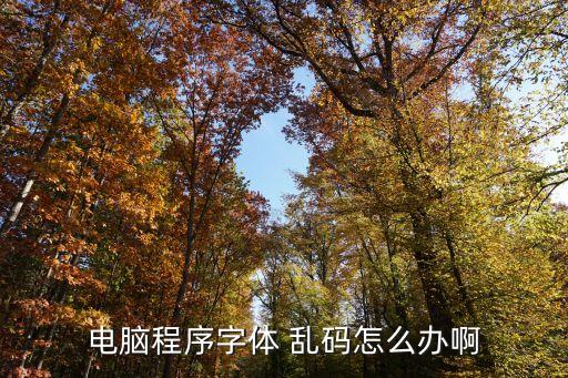 电脑程序字体 乱码怎么办啊