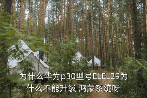 为什么华为p30型号ELEL29为什么不能升级 鸿蒙系统呀