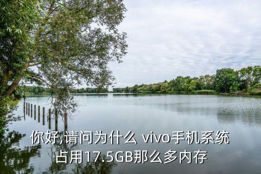 你好,请问为什么 vivo手机系统占用17.5GB那么多内存