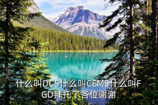 什么叫DCS什么叫CEMS什么叫FGD拜托了各位谢谢