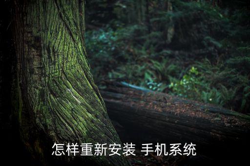 智能手机做系统软件