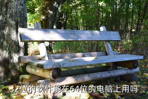 32位的软件能在64位的电脑上用吗