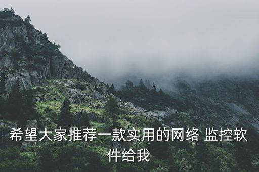 辅助监控系统软件哪个好