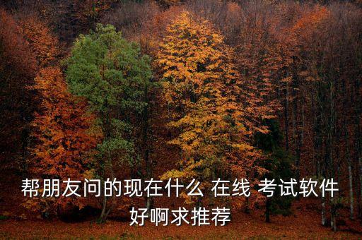 帮朋友问的现在什么 在线 考试软件好啊求推荐