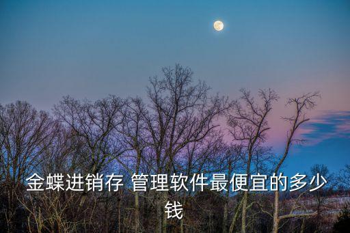  金蝶进销存 管理软件最便宜的多少钱