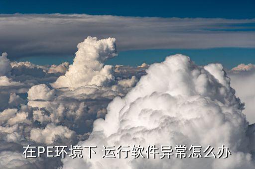 在PE环境下 运行软件异常怎么办