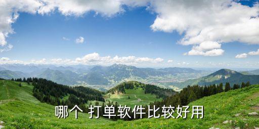 哪个 打单软件比较好用