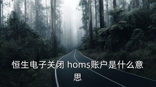 恒生电子关闭 homs账户是什么意思