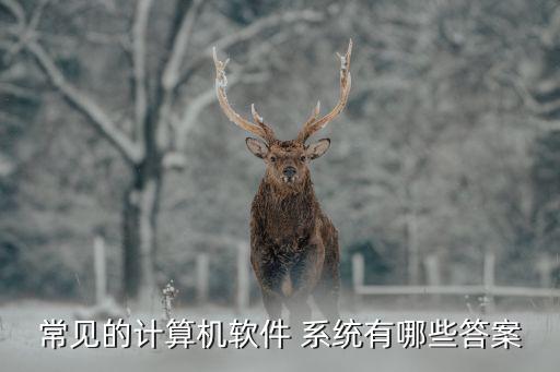 常见的计算机软件 系统有哪些答案