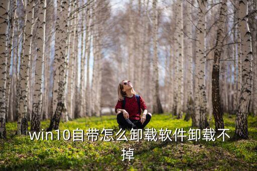 无用的win10系统软件,Win10和unix都属于系统软件