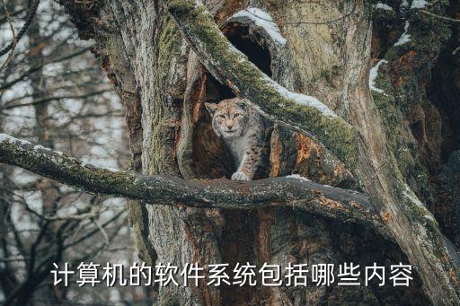  计算机的软件系统包括哪些内容