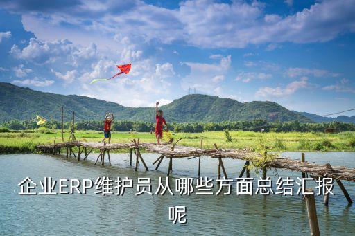企业ERP维护员从哪些方面总结汇报呢