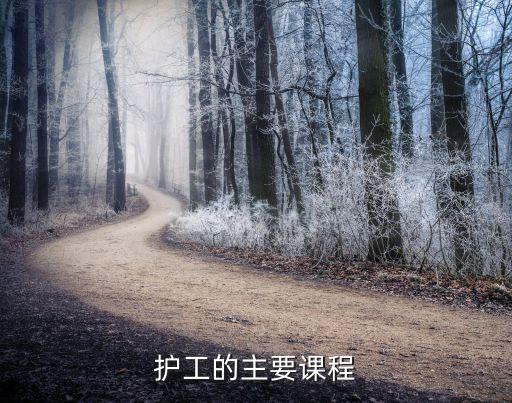 护工的主要课程