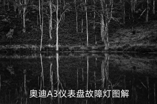  奥迪A3仪表盘故障灯图解