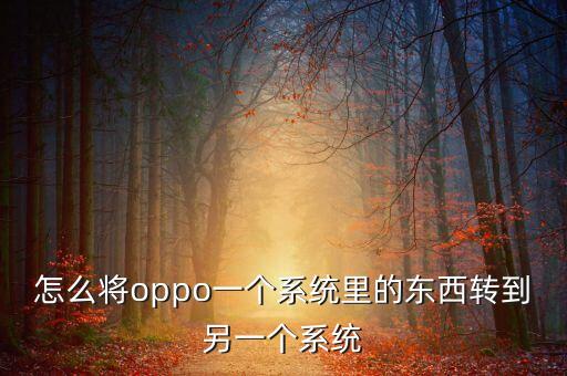 怎么将oppo一个系统里的东西转到另一个系统