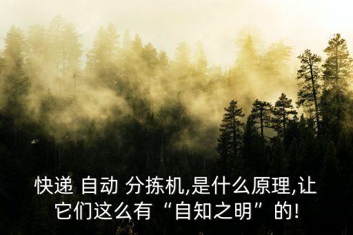 快递 自动 分拣机,是什么原理,让它们这么有“自知之明”的!