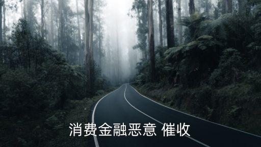 消费金融恶意 催收