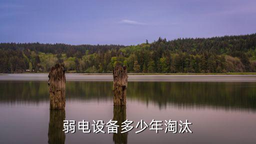 考勤系统软件使用年限