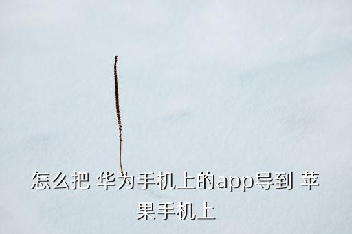 怎么把 华为手机上的app导到 苹果手机上