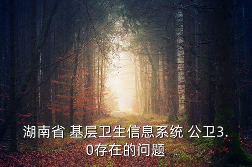 湖南省 基层卫生信息系统 公卫3.0存在的问题