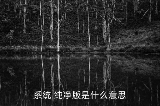 系统 纯净版是什么意思