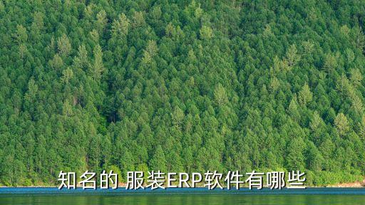 知名的 服装ERP软件有哪些