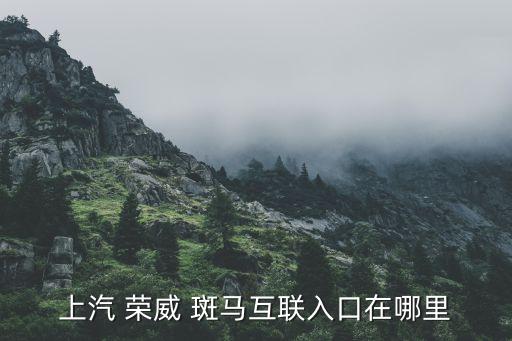 上汽 荣威 斑马互联入口在哪里
