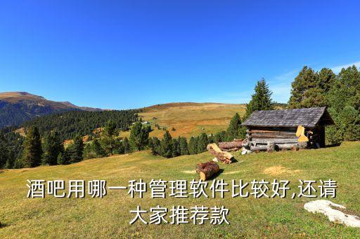  酒吧用哪一种管理软件比较好,还请大家推荐款