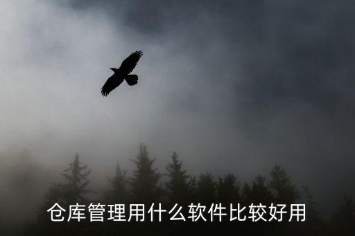 仓储系统软件哪个最好,医院绩效考核系统软件哪个最好