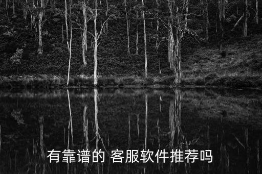 有靠谱的 客服软件推荐吗
