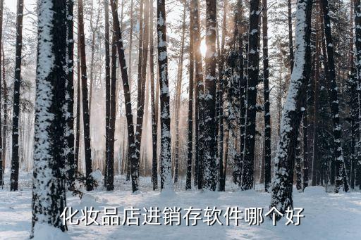  化妆品店进销存软件哪个好
