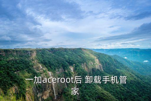 一加6怎么卸载系统软件,oppo如何强行卸载系统软件