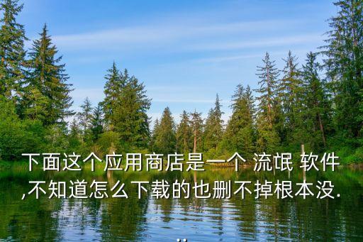 下面这个应用商店是一个 流氓 软件,不知道怎么下载的也删不掉根本没...