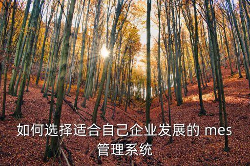 棱视mes系统软件定制