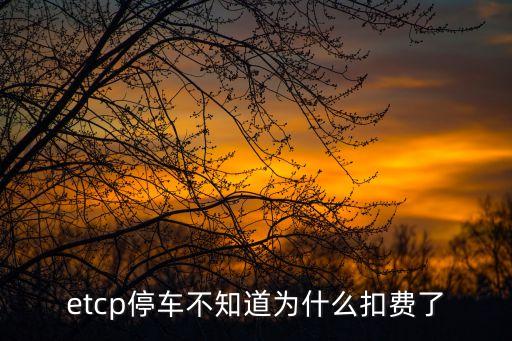 车牌识别的系统软件