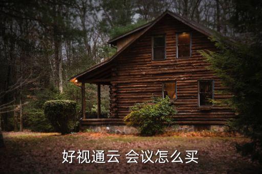 好视通云 会议怎么买