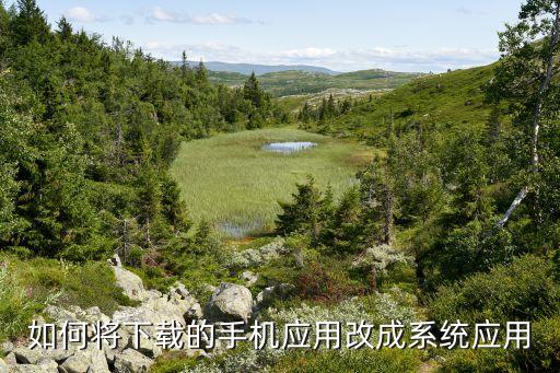 怎么把软件换成系统软件