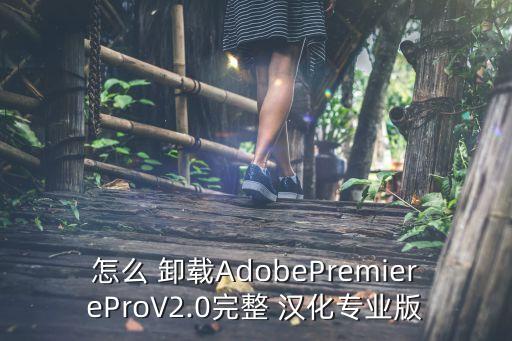 怎么 卸载AdobePremiereProV2.0完整 汉化专业版