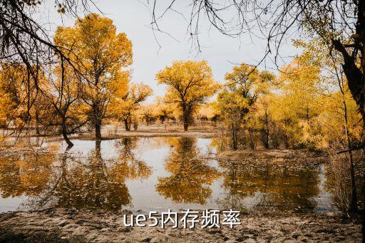 虚幻5如何安装系统软件,电脑如何安装系统软件