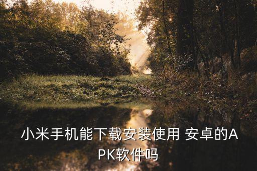  小米手机能下载安装使用 安卓的APK软件吗