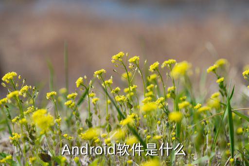 Android软件是什么