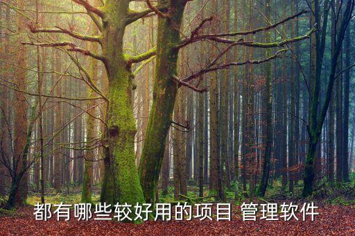 都有哪些较好用的项目 管理软件