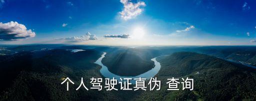 字母编码真假查询系统软件
