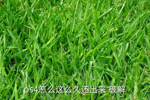 售卖破解系统软件,未成年破解健康系统软件