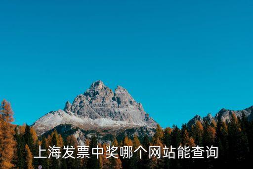 上海发票中奖哪个网站能查询